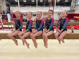 Image result for Forest Of Dean Gymnastics Club