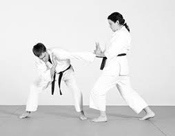 Image result for Luton Atemi Ju-Jitsu