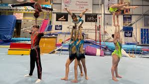 Image result for Harriers Acrobatic Gym Club