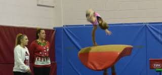 Image result for Harlequins Gymnastics Club