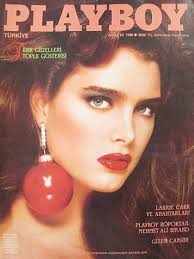 Image result for brooke shields nude