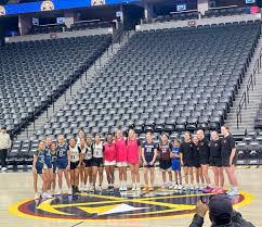 Image result for Blackpool Lights Ladies Basketball Club