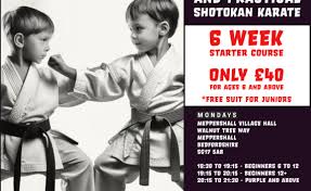 Image result for Ataru Shotokan Karate Club