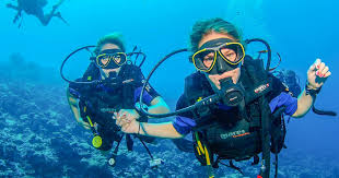 Image result for Seabug Divers