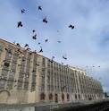 Sugar-coated history: BC Sugar Refinery is Vancouver's oldest