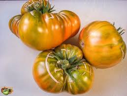 Afbeeldingsresultaat voor grubbs mystery green tomato