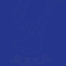 Image result for Studley Royal Cc