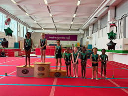 Image result for Sutton School Of Gymnastics
