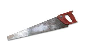 Image result for Fuchsschwanz