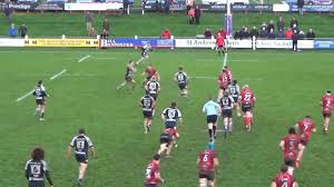 Image result for Luctonians Cricket Club