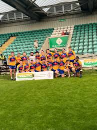 Image result for Parnells Gaelic Football Club