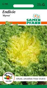 Image result for Endivie