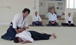 Image result for Coldharbour Aikido Club