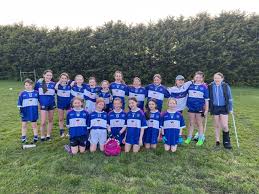 Image result for Collegeland O`rahillys Gaelic Football Club