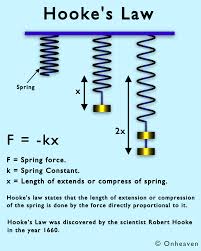 Image result for    f B E K K