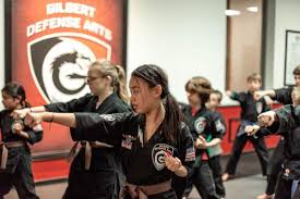 Image result for Martial Arts Karate Mesa AZ