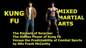 Image result for Full Element Mixed Martial Arts