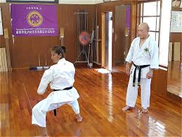 Image result for Zen Shin Seicho Do Adult Karate
