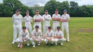 Image result for Yelverton Bohemians Cricket Club