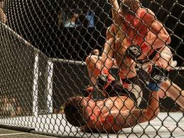 Image result for Blood Sweat and Tears Mixed Martial Arts Academy