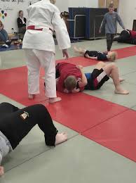 Image result for Carn Brea Karate Kai
