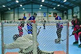 Image result for Dundee Ducks inline roller hockey club