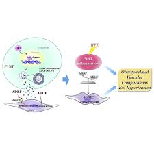 「pvAj[MjA」の画像検索結果