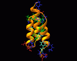 Staphylococcal Protein A, Z Domain