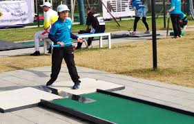 Image result for World Minigolf Sport Federation