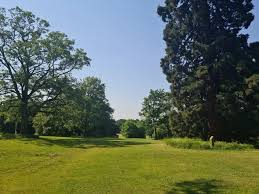 Image result for Tamworth Rugby Union Football Club