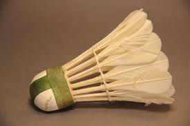 Image result for Shuttles Badminton Club (Frome)