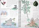 F.W.'s Nature Journal | Moo-Cow Fan Club