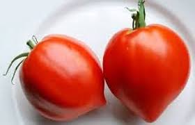 Afbeeldingsresultaat voor anna russian tomato
