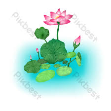 「シア・ハス」の画像検索結果