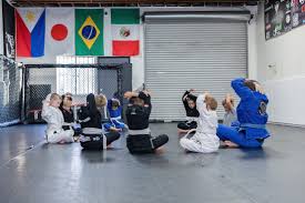 Image result for Valiant Gymnastics Club