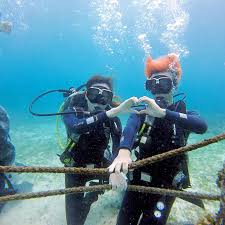 Image result for Barnsley BSAC Divers