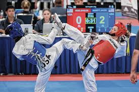 Image result for Taekwondo Athletes Program USA