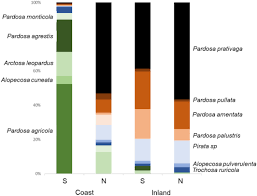Attēlu rezultāti vaicājumam “Planaphrodes sp.”