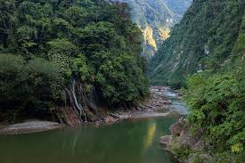 Výsledek obrázku pro yungas