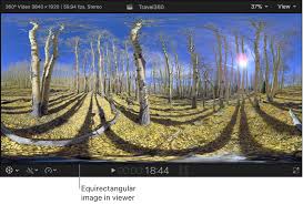 Image result for equirectangular