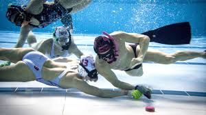 Image result for Dublin Underwater Hockey Team