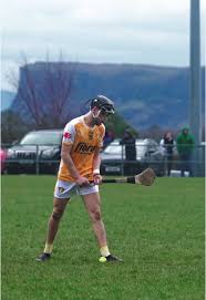 Image result for Rostrevor Hurling Club