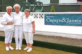 Image result for Pulborough Cricket Club