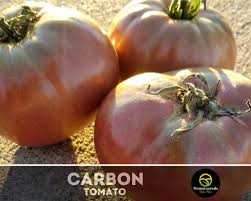 Afbeeldingsresultaat voor carbon tomato