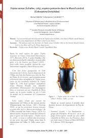 Attēlu rezultāti vaicājumam “Triplax aenea”