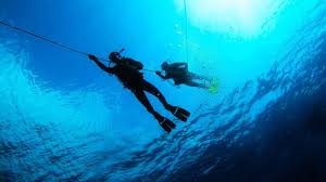 Image result for Maidstone Sub Aqua Club