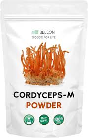 Attēlu rezultāti vaicājumam “Cordyceps polyarthra”