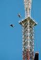 BASE jumping - Wikipedia, the free encyclopedia