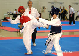 Image result for Kees Tae Kwon Do