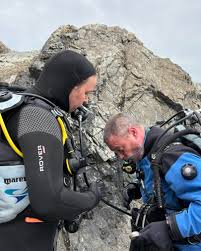 Image result for Looe Diving Club